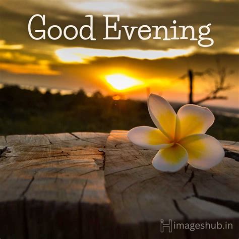 EVENING .